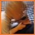 7555_kinga-andras