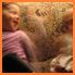 7633_kinga-andras