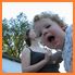 8401_kinga