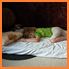 15037_kinga