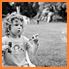 15663_kinga-mary